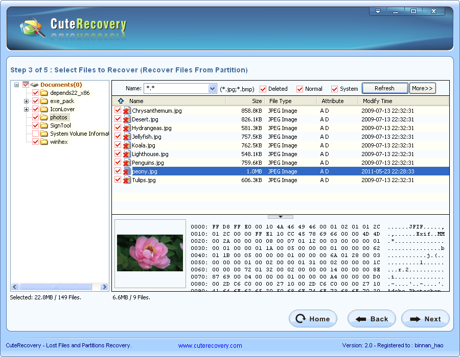 Whole Partition File Recovery - Search Result and Select Files